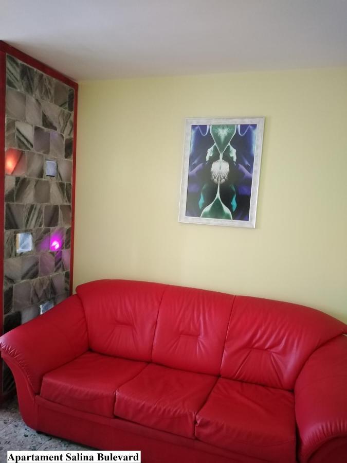 Apartament Salina Bulevard Alba Iulia Dış mekan fotoğraf