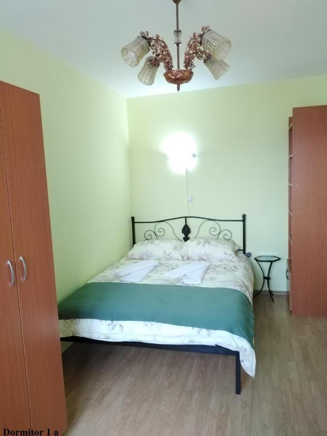 Apartament Salina Bulevard Alba Iulia Dış mekan fotoğraf