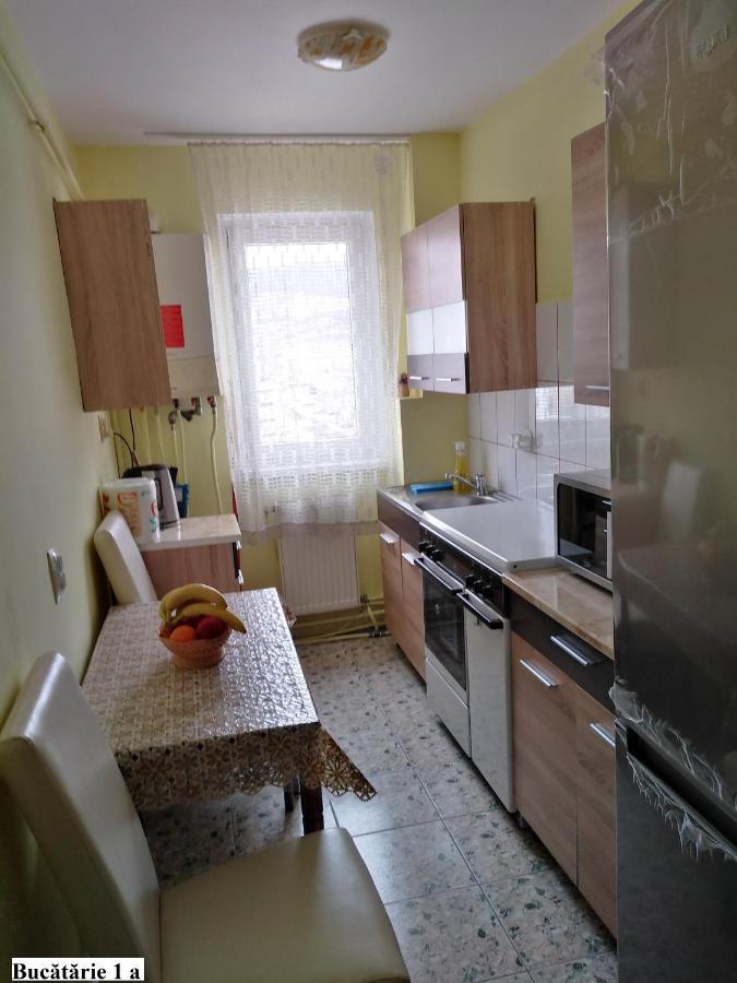 Apartament Salina Bulevard Alba Iulia Dış mekan fotoğraf