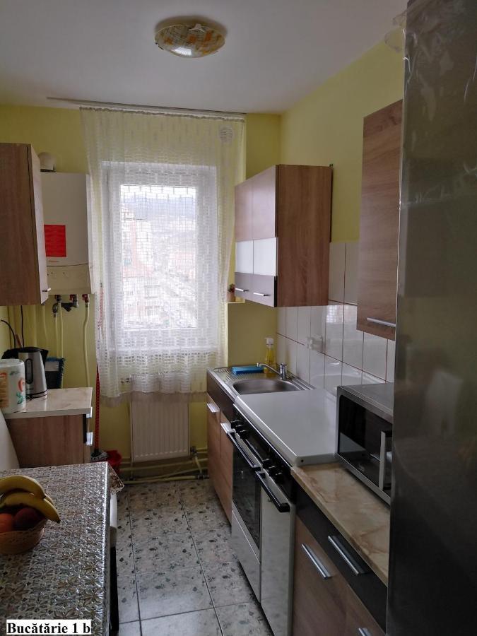 Apartament Salina Bulevard Alba Iulia Dış mekan fotoğraf
