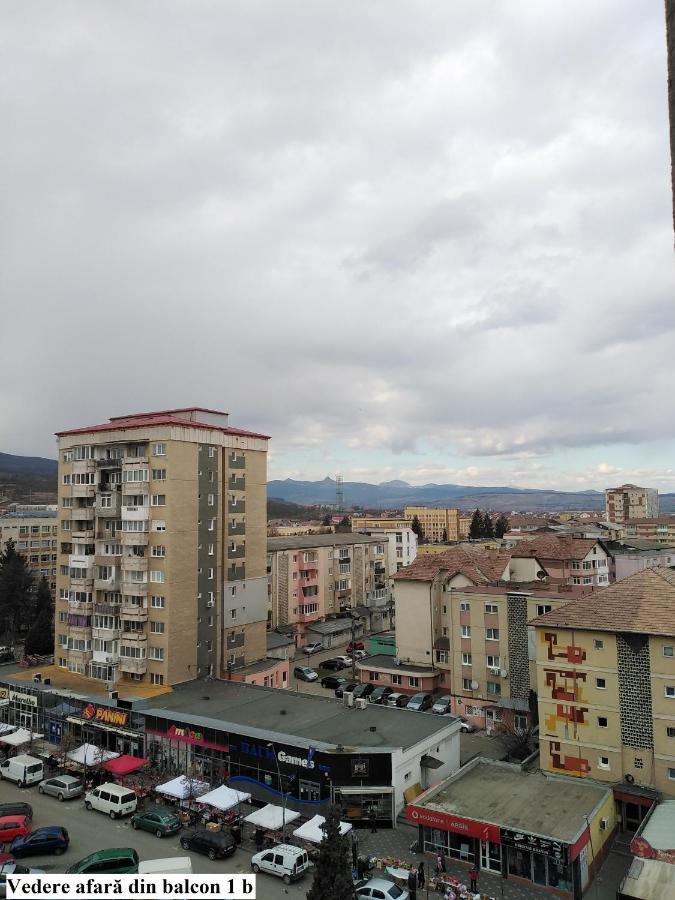 Apartament Salina Bulevard Alba Iulia Dış mekan fotoğraf